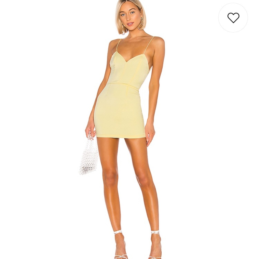 Revolve Diana Mini Dress